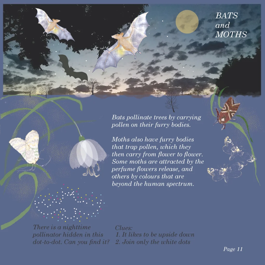 Illustrated night scene showing bats and moths pollinating flowers under a full moon, with a hidden pollinator dot-to-dot activity.